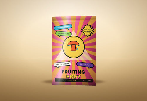 Fruiting Body Drop 01 pouch — pop-art front with the sun and pyramid